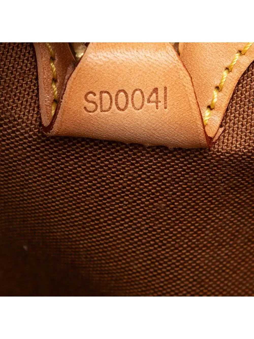 Louis Vuitton introducing louis